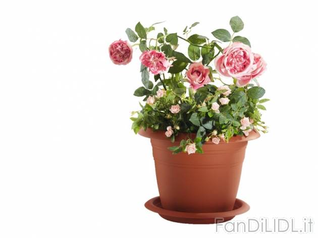 Vaso per piante Florabest, prezzo 3,99 &#8364; per Alla confezione 
- A scelta ...