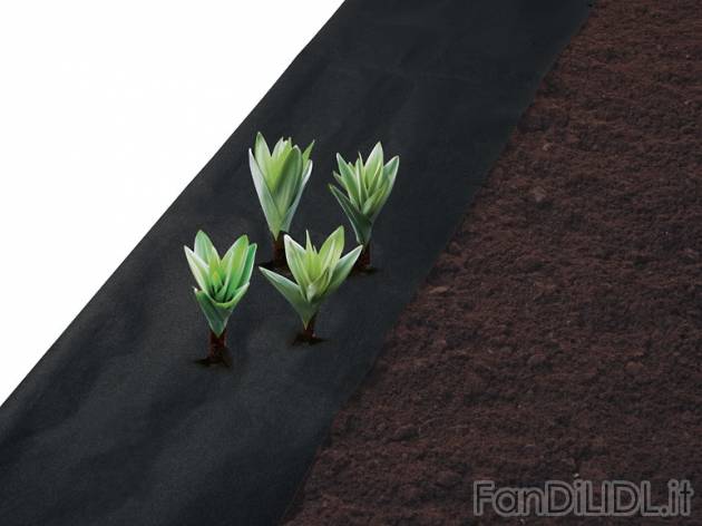 Telo pacciamante o multiuso da giardino Florabest, prezzo 2,99 &#8364; per Alla ...