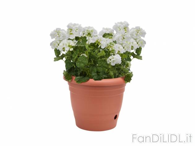 Vaso per fiori, 40 cm , prezzo 3.99 &#8364; 
- Con riserva d&#8216;acqua
- ...