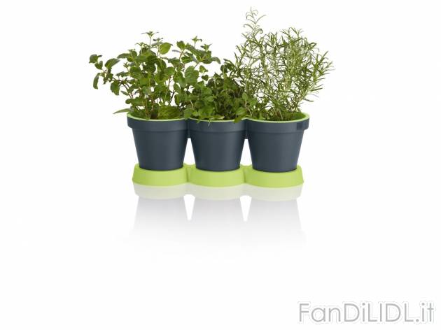 Vaso triplo per erbe aromatiche , prezzo 2.99 &#8364; per Alla confezione 
- ...