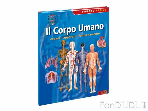 Libro educativo per bambini , prezzo 3,99 &#8364; per Alla confezione 
- A ...