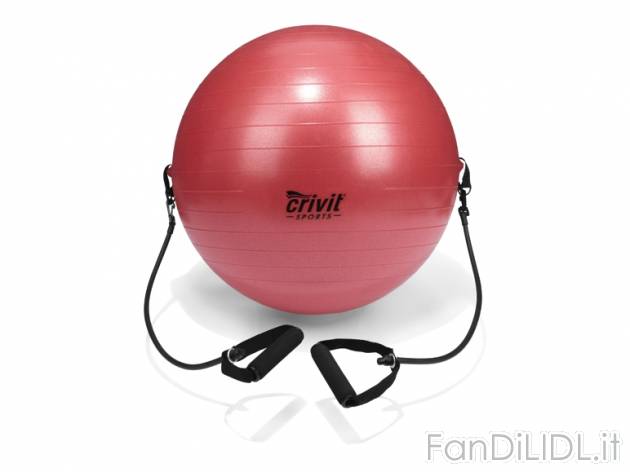 Palla morbida per ginnastica Crivit Sports, prezzo 7,99 &#8364; per Alla confezione ...