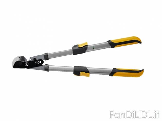 Tagliarami telescopico Florabest, prezzo 9,99 &#8364; per Alla confezione 
- ...