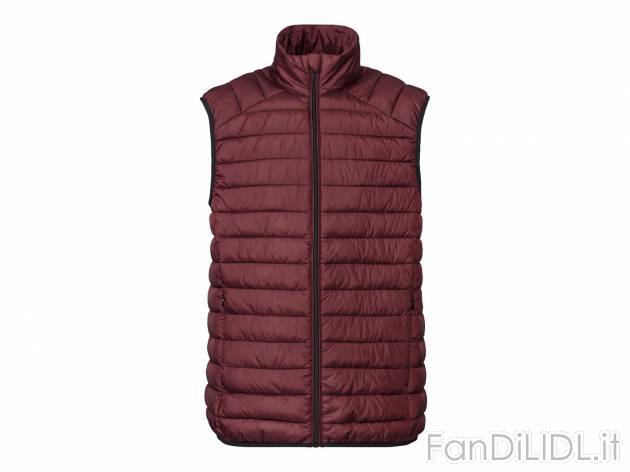 Gilet imbottito da uomo Livergy, prezzo 14.99 &#8364; 
- Queste giacche sono ...
