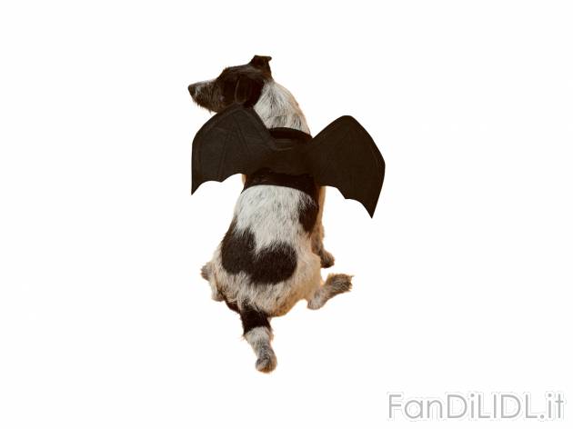 Costume per cani , le prix 6.99 &#8364;  
Misure: XS-L