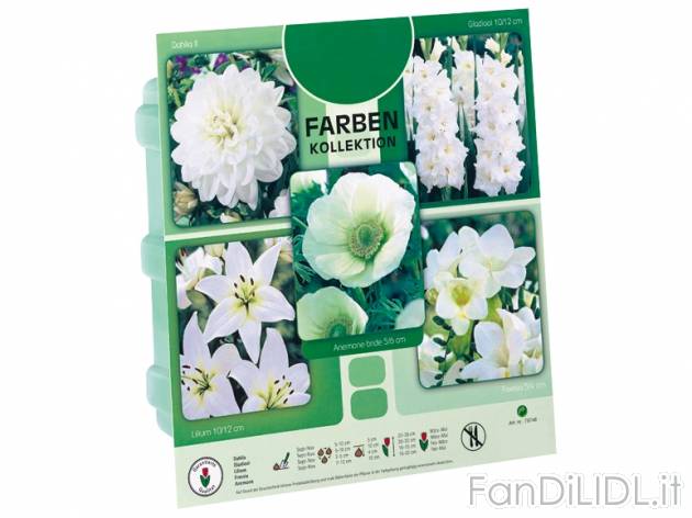 Bulbi assortiti , prezzo 2,99 &#8364; per Alla confezione 
- Confezione 17,2 ...