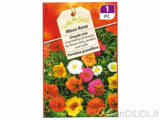 Buste di sementi fini , prezzo 0,29 &#8364; per Alla confezione 
- A scelta ...