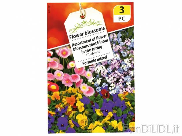 Buste di sementi , prezzo 0,55 &#8364; per Alla confezione 
- A scelta tra ...