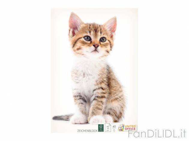 Blocco da disegno A3 United Office, prezzo 1.49 &#8364; 
40 fogli
Caratteristiche

- ...