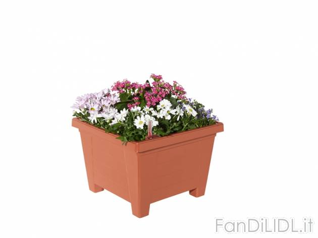 Fioriera con irrigatore Florabest, prezzo 4,99 &#8364; per Alla confezione 
- ...