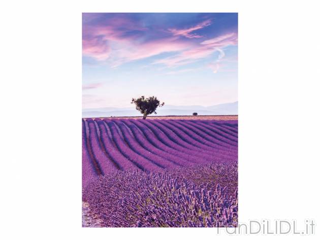 Quaderno United Office, prezzo 0.79 &#8364;  

Caratteristiche

- FSC no link