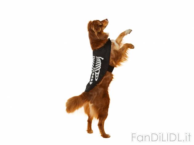 Costume di Halloween per cani Sgs_tuv_saar, prezzo 6.99 &#8364; 
Misure: XS-L
Caratteristiche
 ...