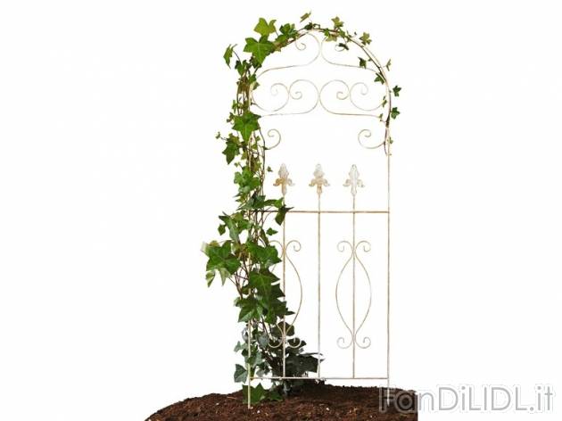Spalliera in metallo per rampicanti Florabest, prezzo 5,99 &#8364; per Alla ...