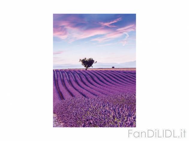 Quaderno United Office, prezzo 0.79 &#8364;  

Caratteristiche

- FSC no link