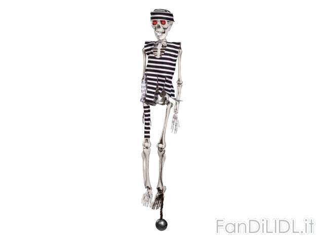 Scheletro decorativo per Halloween , prezzo 7.99 &#8364; per Alla confezione ...