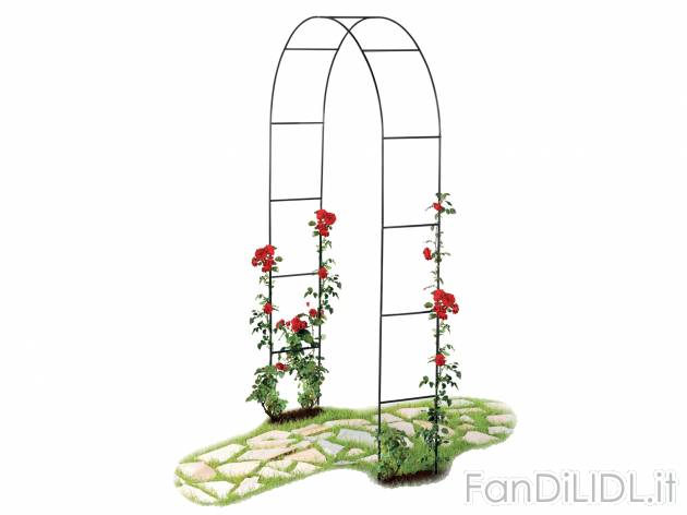 Supporto o arco per rampicanti Florabest, prezzo 8.99 &#8364; 
- Con picchetti ...