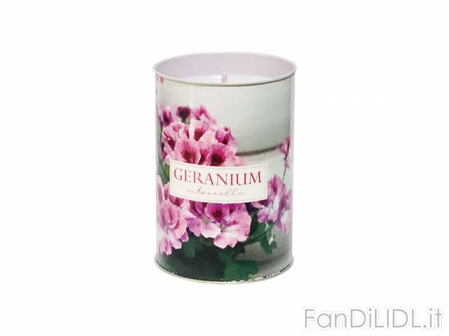 Candela Geranium , prezzo 0.79 &#8364;  
Novità                    
-  Citronella