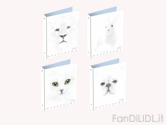 Cartella ad anelli A4 White Made-in-italy, prezzo 2.79 &#8364; 

Caratteristiche

- ...