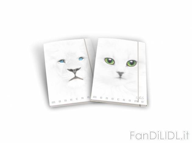 Cartelle 3 lembi  White Made-in-italy, prezzo 1.99 &#8364;  

Caratteristiche

- Pigna