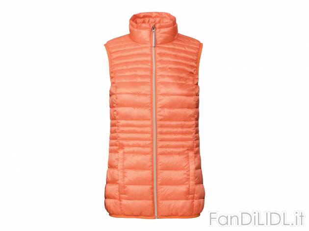 Gilet imbottito da donna Esmara, prezzo 11.99 &#8364; 
Misure: 38-48 
- Antivento ...