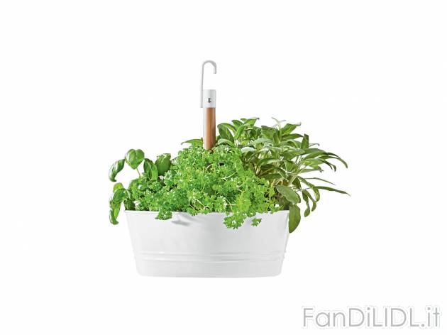 Vaso pensile per erbe aromatiche , prezzo 5.99 &#8364; 
- Per ambienti interni ...