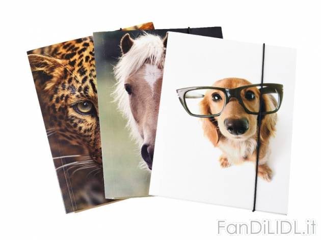 Cartelline con elastico A3, 2 pezzi/ A4, 3 pezzi , prezzo 1,99 &#8364; per Alla ...