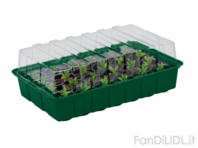 Set mini serra Parkside, prezzo 4.99 &#8364; 
- Per sementi, germogli e propaggini
- ...
