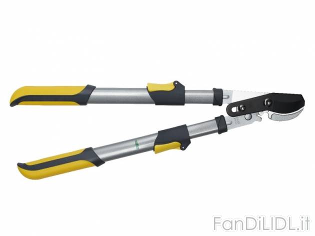Tagliarami telescopico Florabest, prezzo 9,99 &#8364; per Alla confezione 
- ...