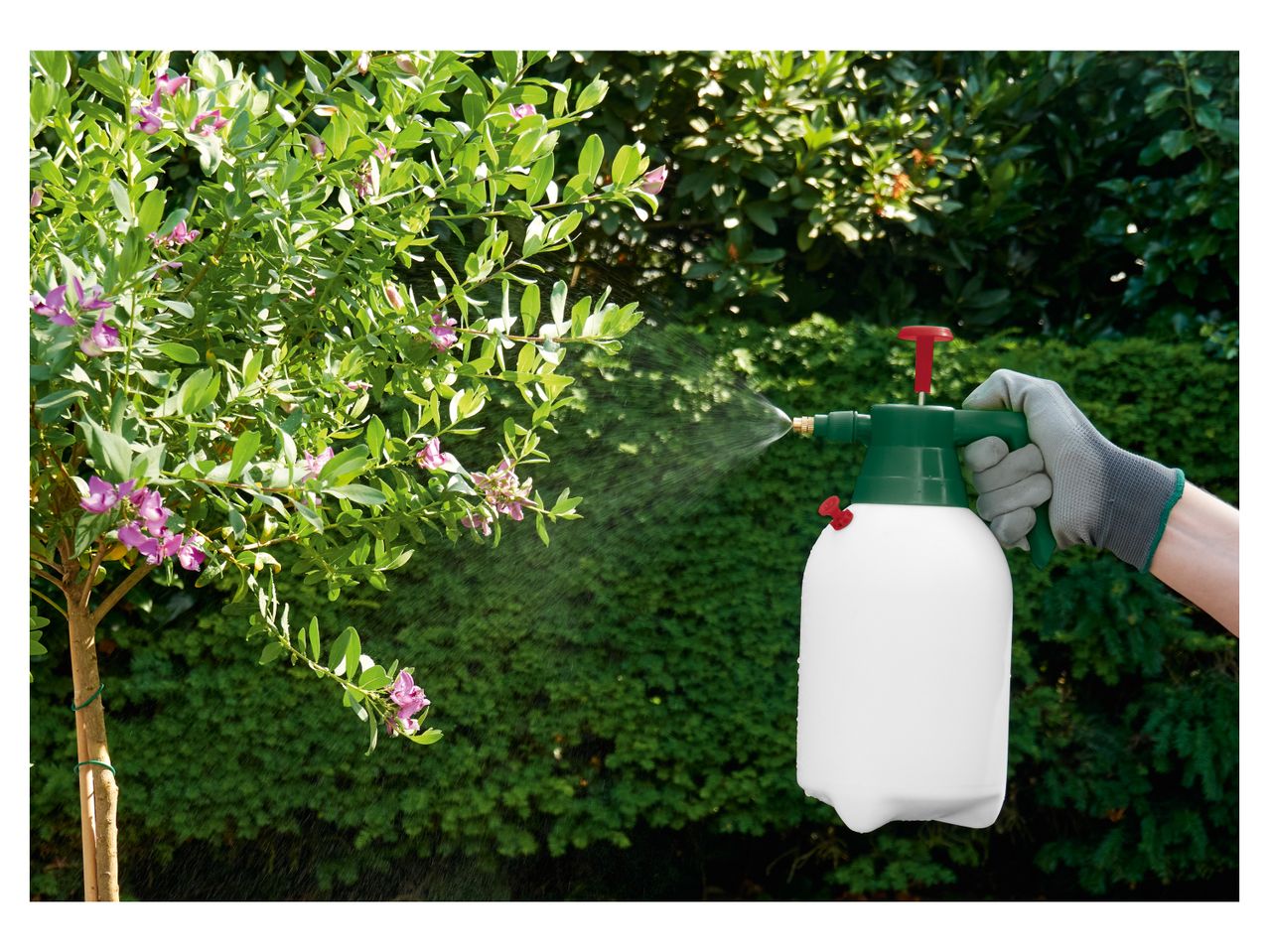 Spruzzatore manuale a pressione, 2 L , prezzo 4.99 EUR 
Spruzzatore manuale a pressione, ...