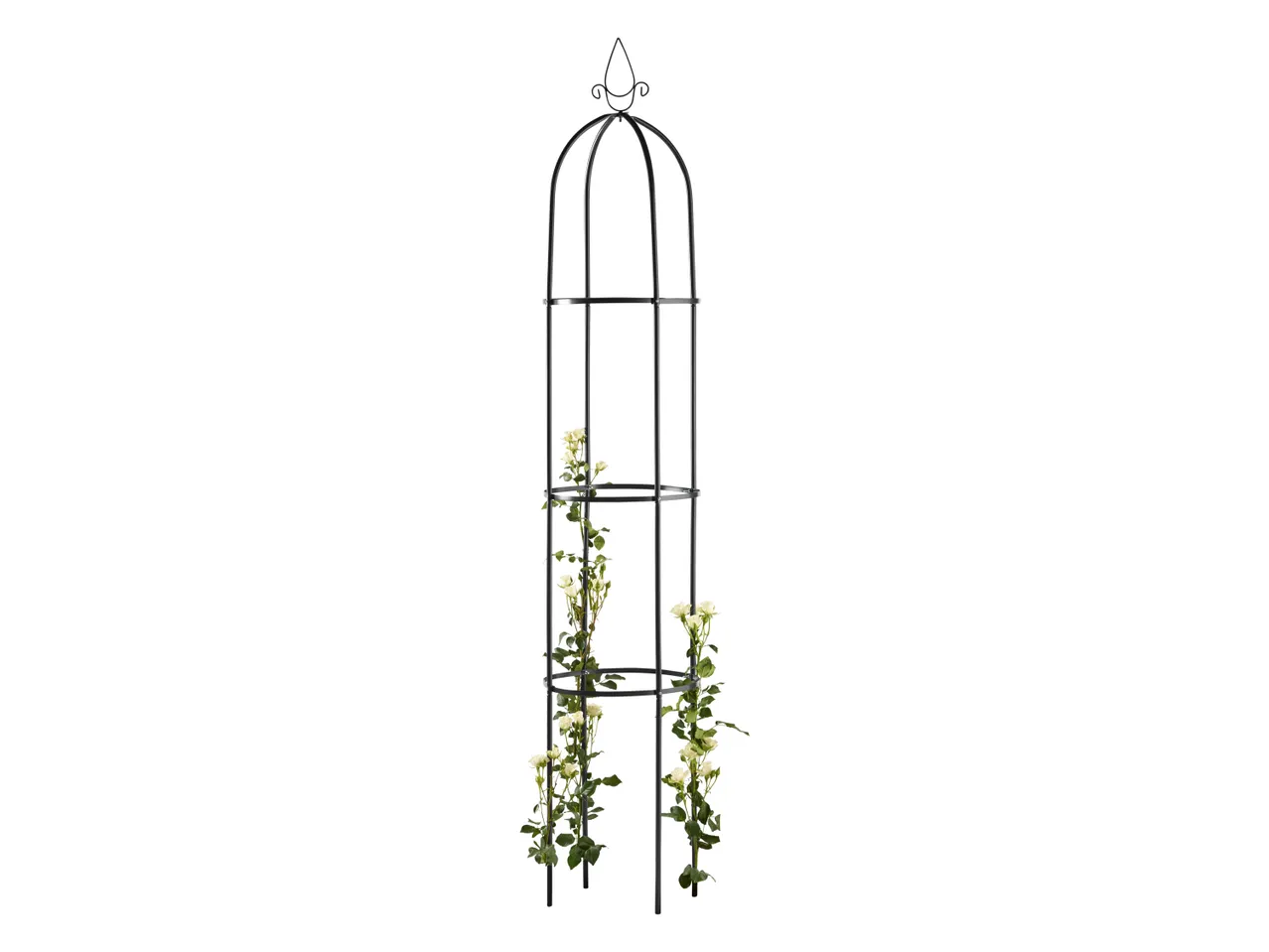 Supporto o arco per rampicanti , prezzo 9.99 EUR
Supporto o arco per rampicanti ...