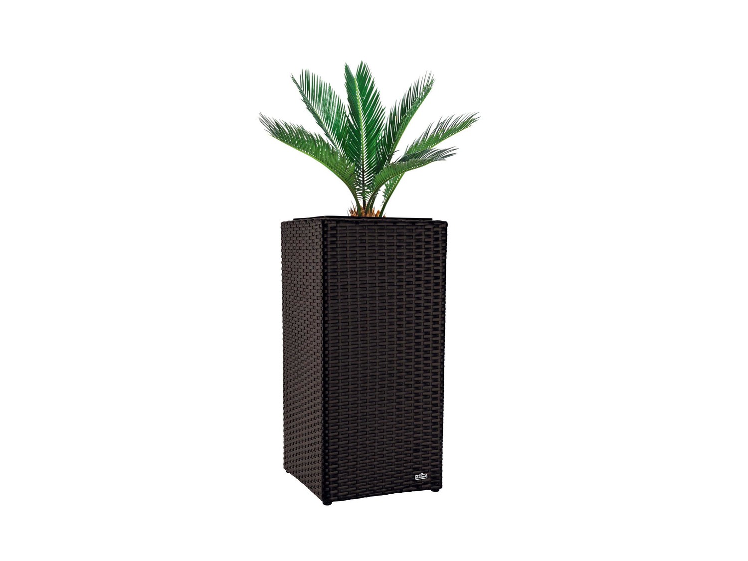 Vaso decorativo per piante, rettangolare o conico Florabest, prezzo 19.99 € ...