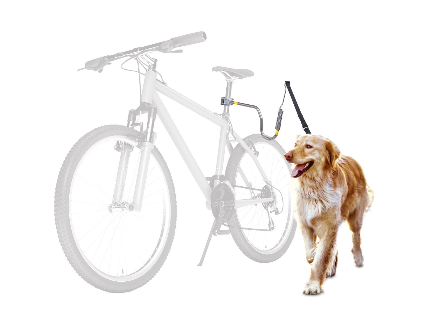 Guinzaglio per cani Zoofari, prezzo 11.99 €
- Adatto per cani fino a ...