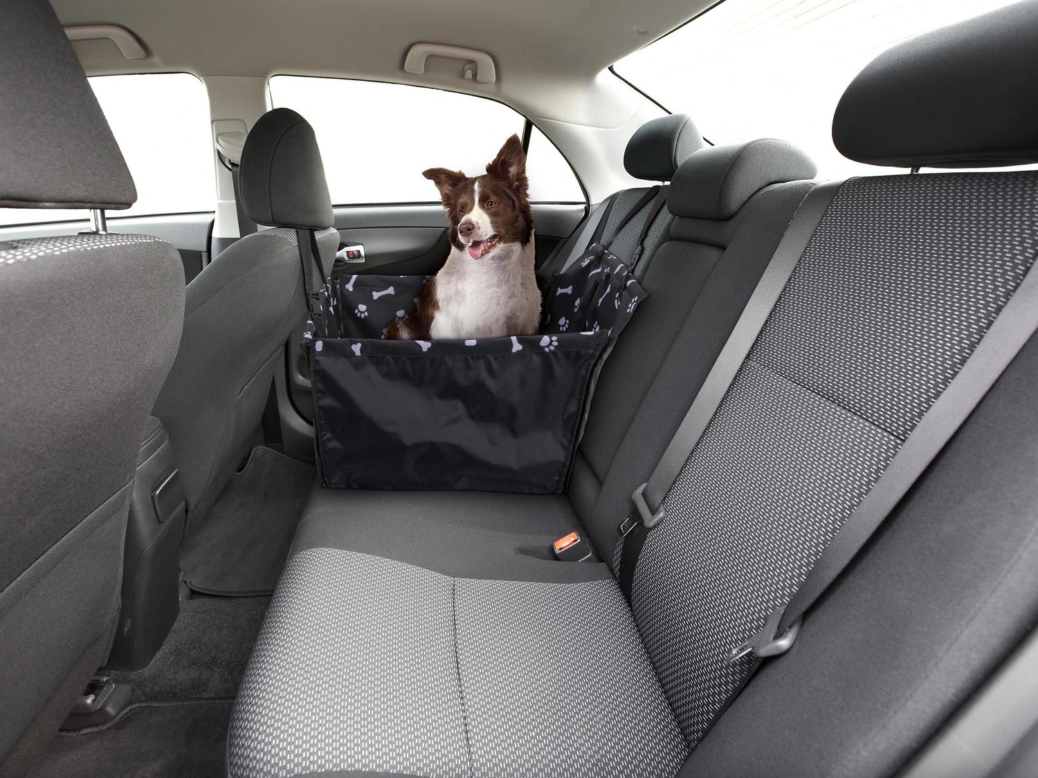 Telo per sedile auto o tappetino refrigerante per animali Zoofari, prezzo 9.99 € ...
