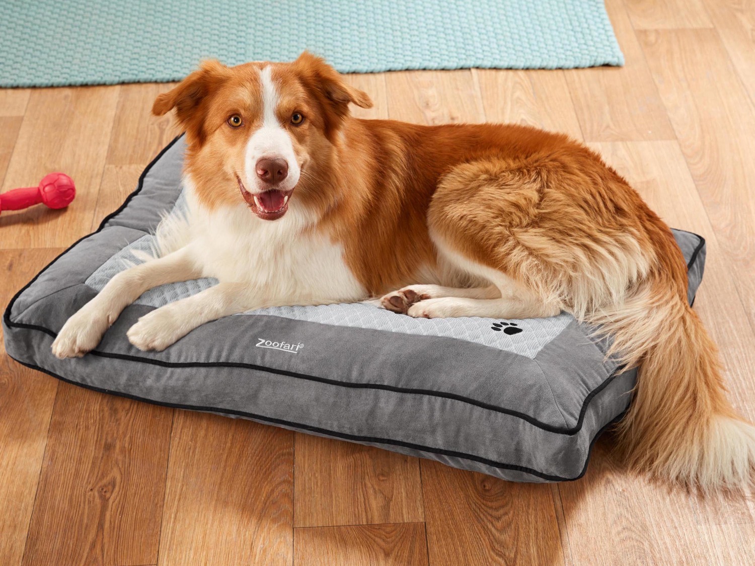 Lettino con regolazione termica per cani Zoofari, prezzo 34.99 €
- 90 ...