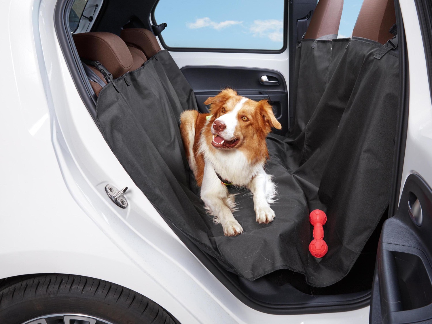 Telo auto per cani Zoofari, prezzo 5.99 €
- Montaggio facile (con clip ...