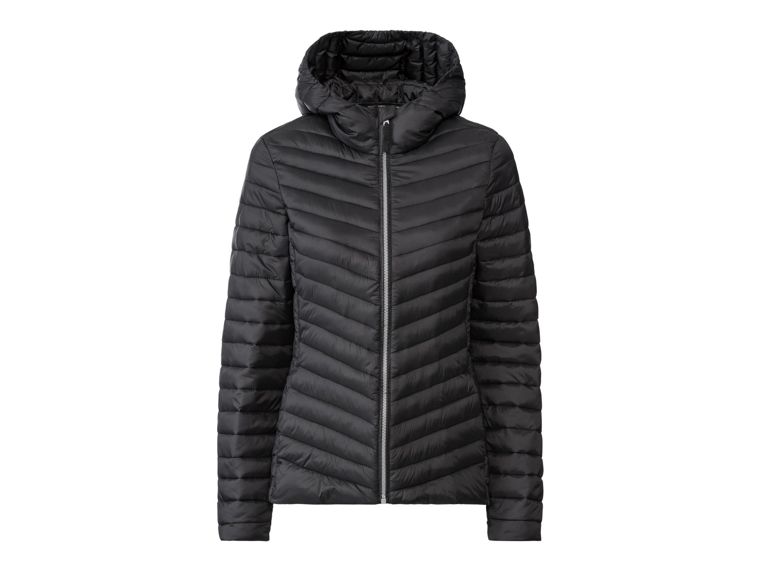 Giacca Lightweight da donna Esmara, prezzo 19.99 €
- Queste giacche sono ...