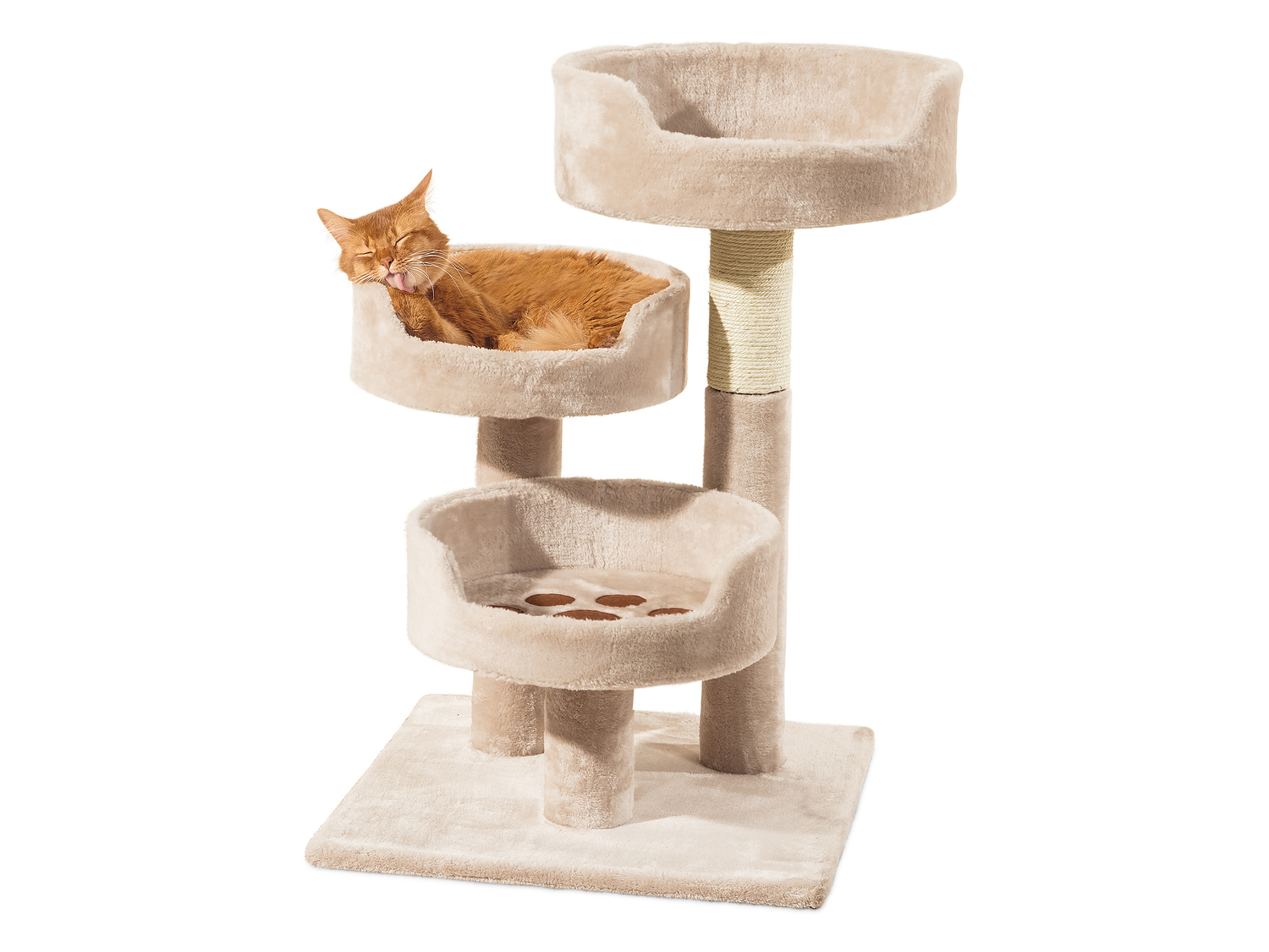 Tiragraffi a torre per gatti Zoofari, prezzo 39.99 €
- Dimensione cestelli:
- ...