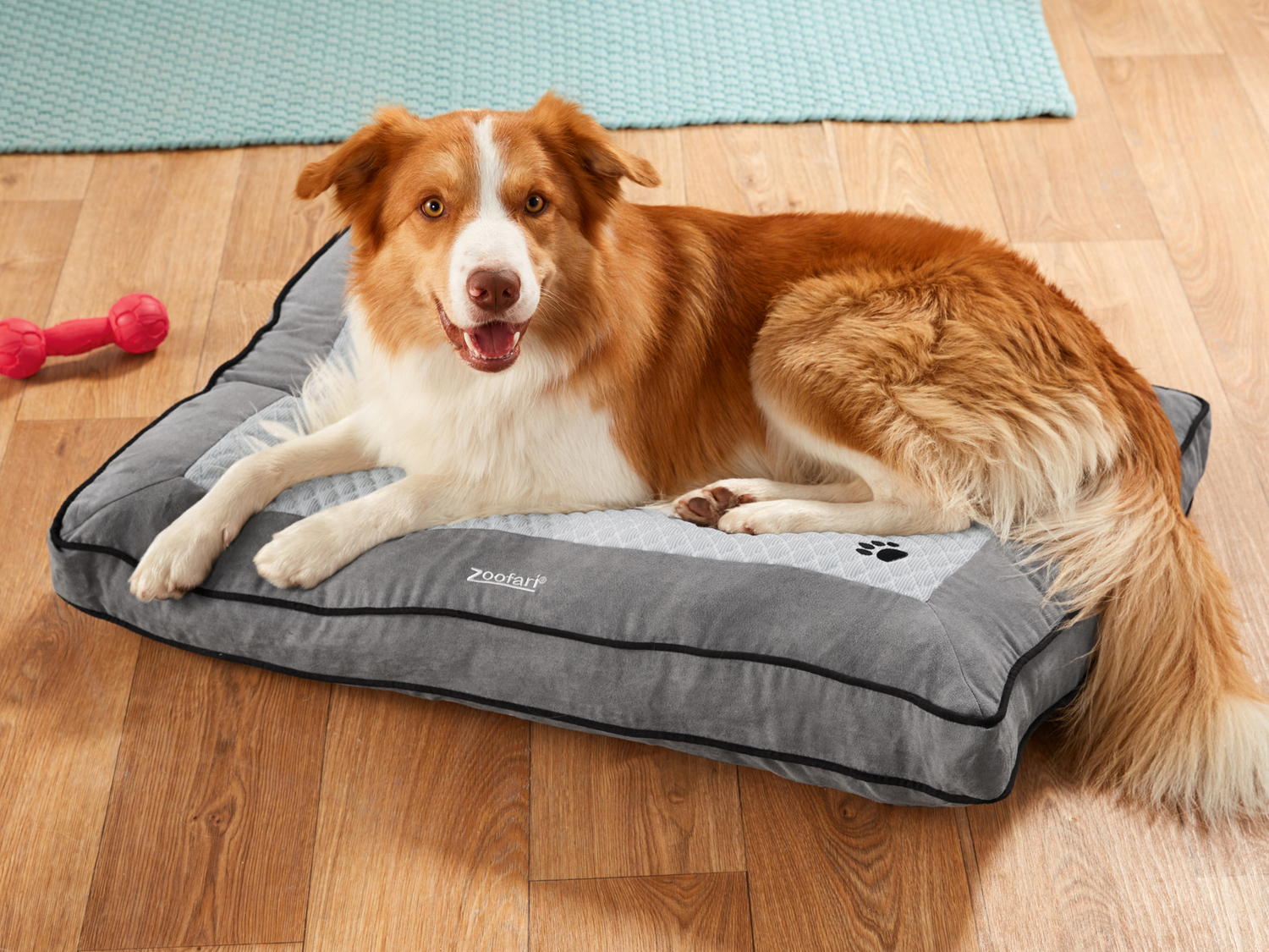 Lettino con regolazione termica per cani Zoofari, prezzo 29.99 €
- 90 x 60 x ...