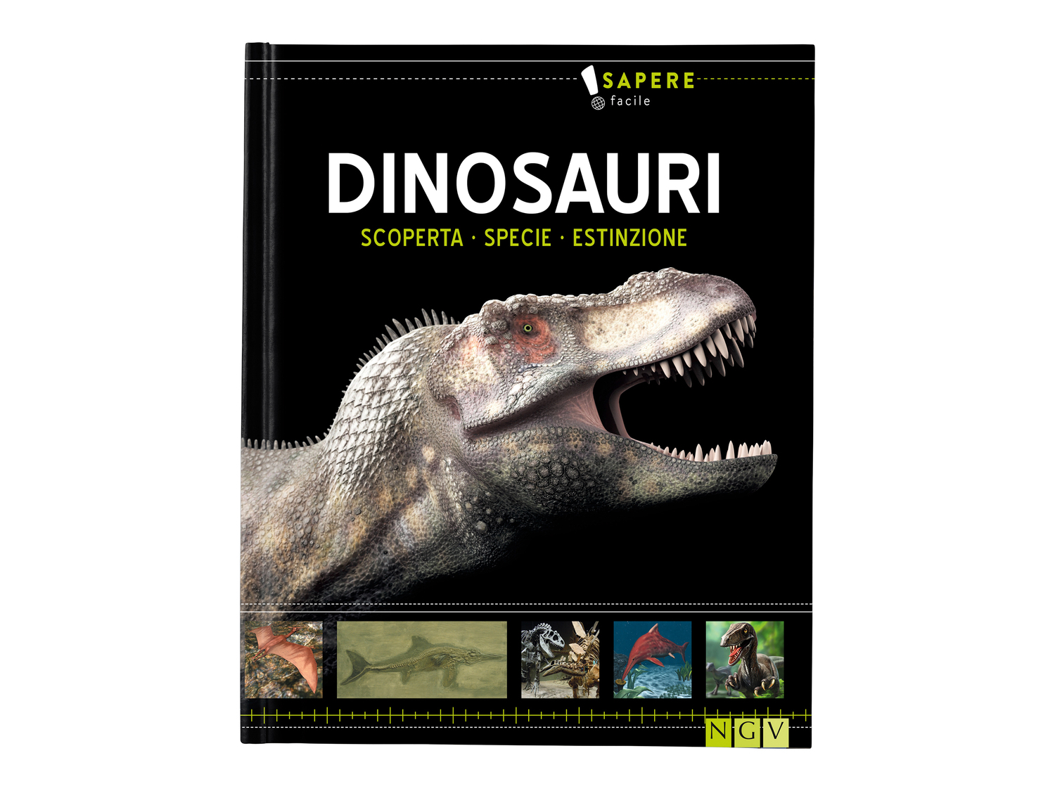 Libro educativo per bambini , prezzo 3.99 &#8364;