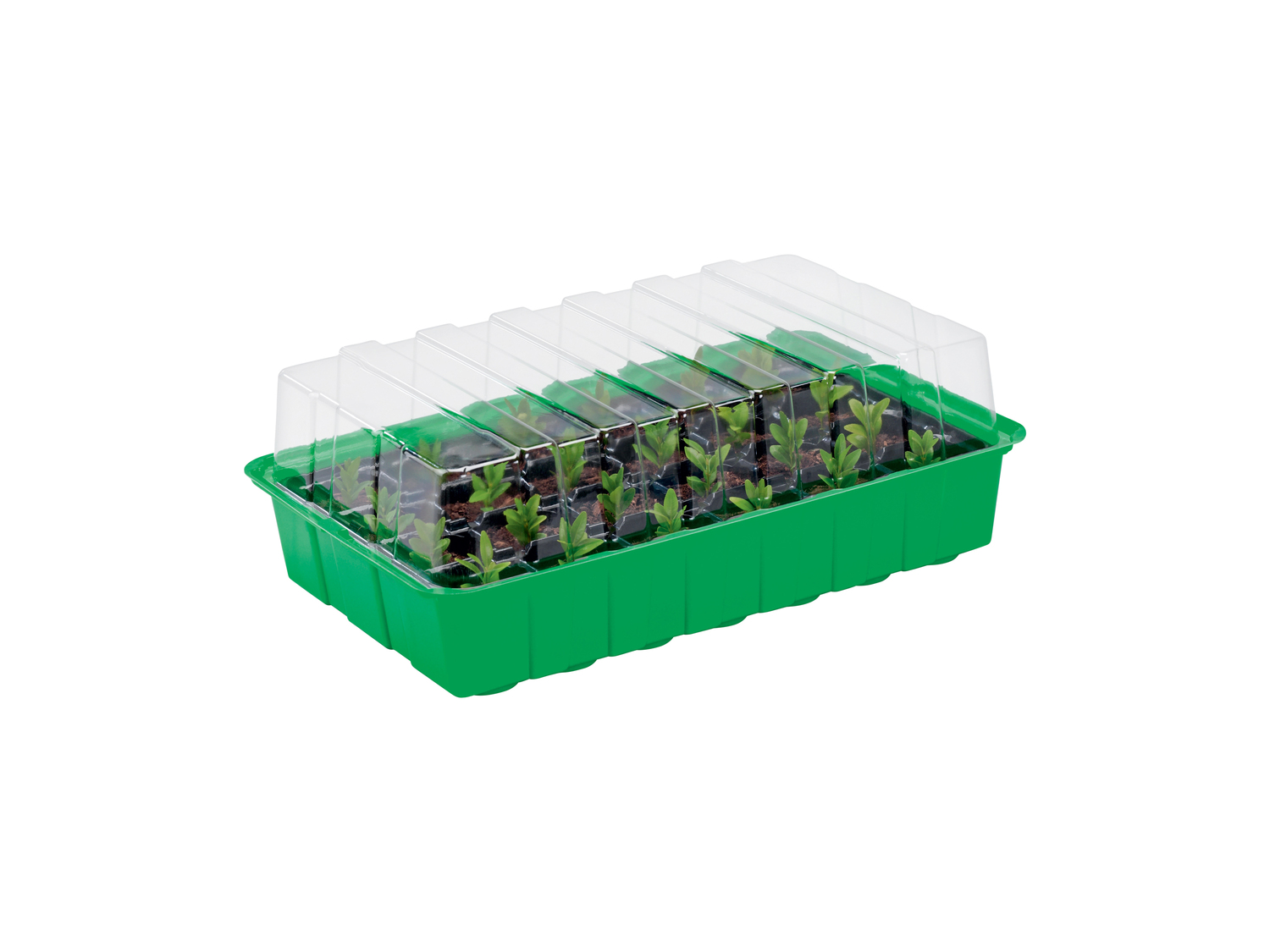 Set mini-serra Parkside, prezzo 4.99 €
- Set costituito da 4 vaschette
- ...