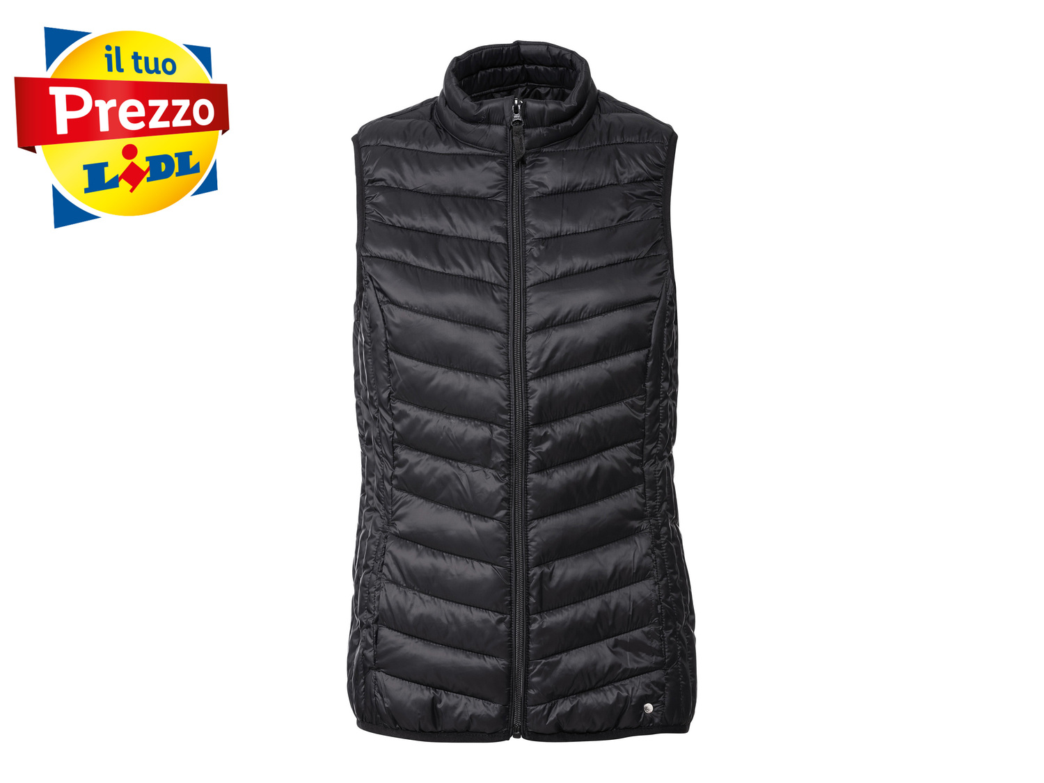 Gilet imbottito da donna Esmara, prezzo 9.99 €
Misure: 38-46
Taglie disponibili
Caratteristiche
- ...