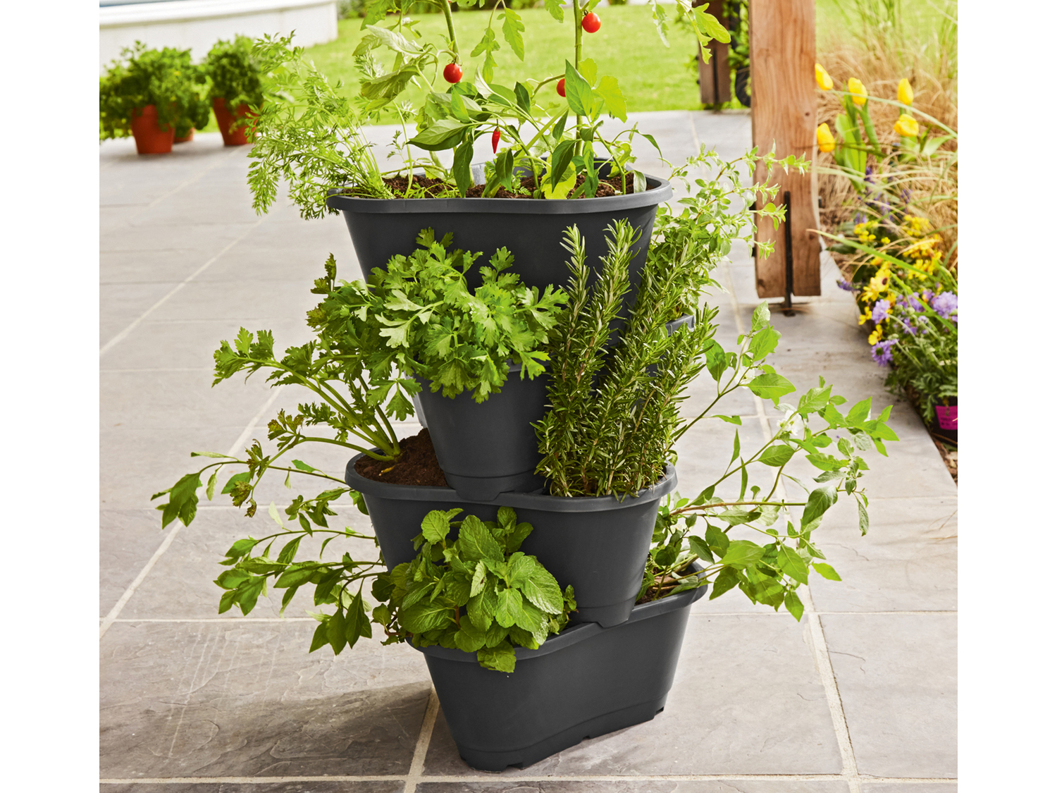 Vaso per coltivazione Parkside, prezzo 14.99 €
- Per balcone, terrazzo ...