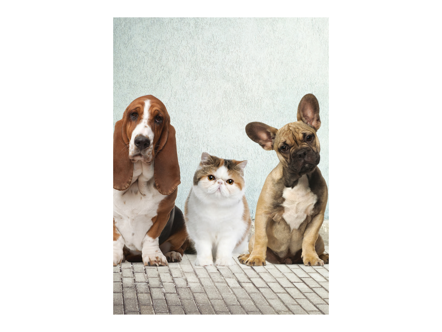 Quaderno United Office, prezzo 0.79 €
Caratteristiche
- FSC no link