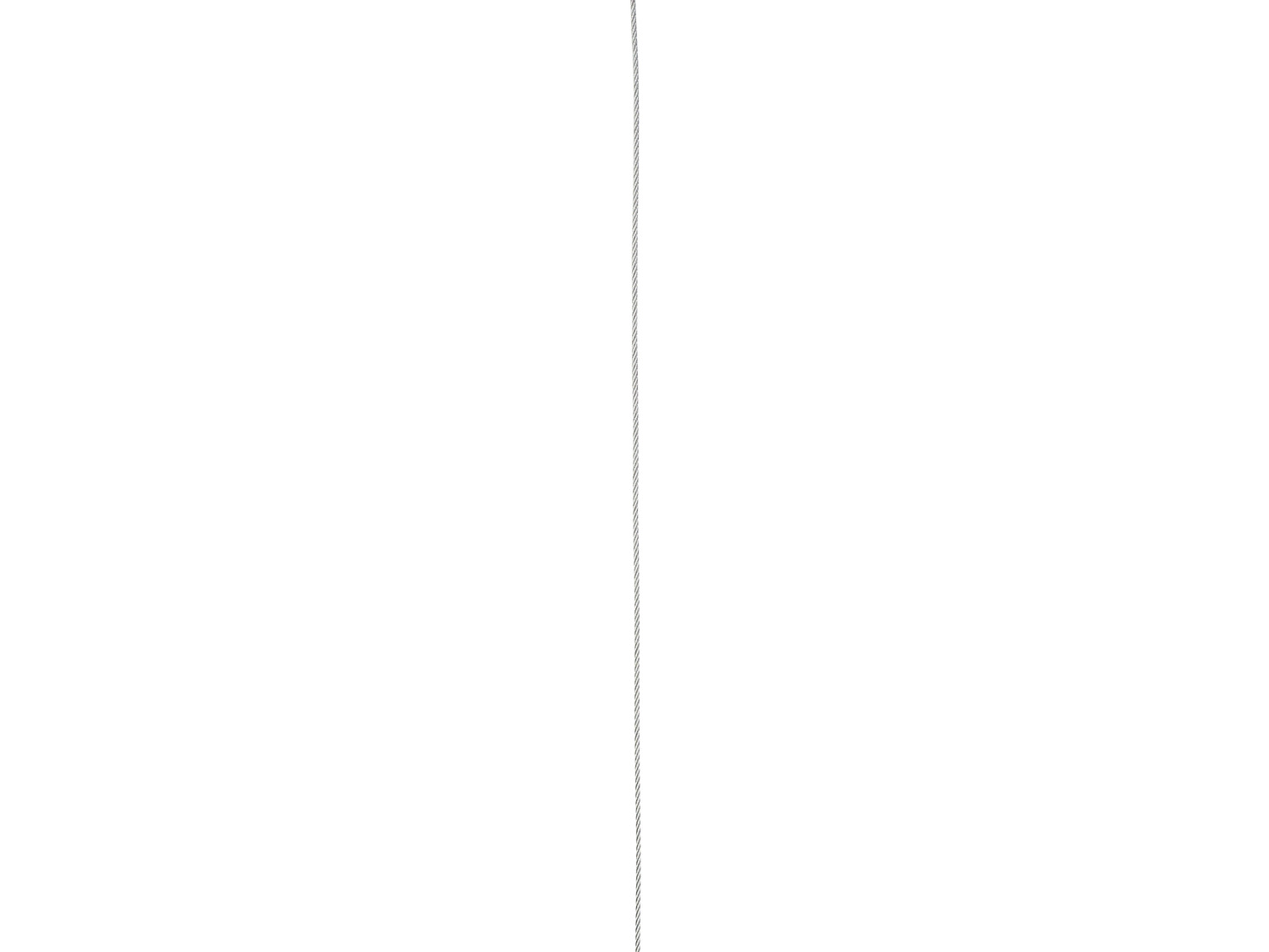 Catena o filo di acciaio Powerfix, prezzo 3.99 €
- Filo d'acciaio 15m: ...