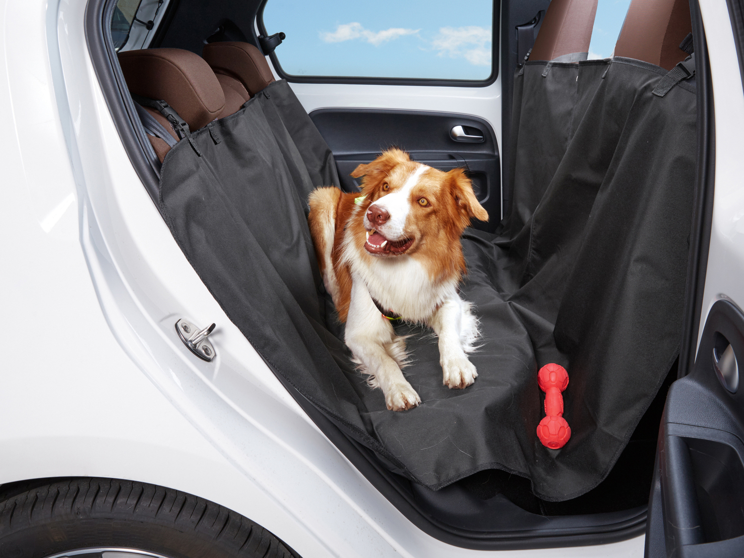 Telo auto per cani Zoofari, prezzo 5.99 €
- 165 x 145 cm
Caratteristiche
- ...