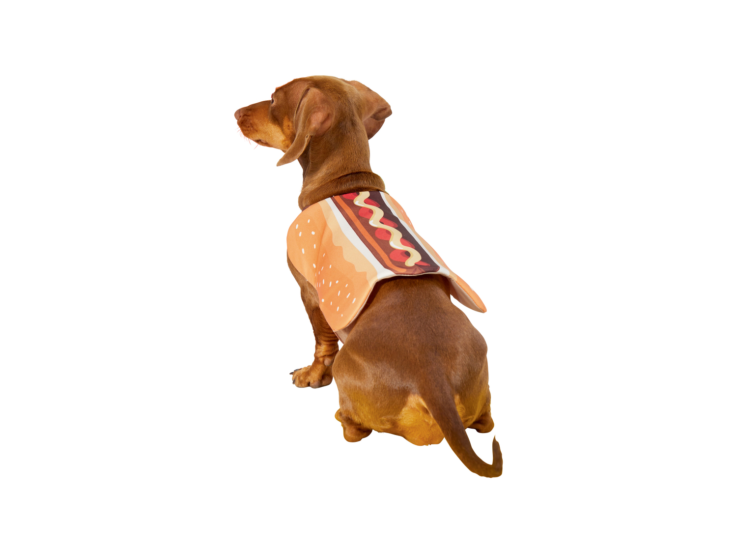 Costume per cani , prezzo 6.99 €
Misure: XS-L