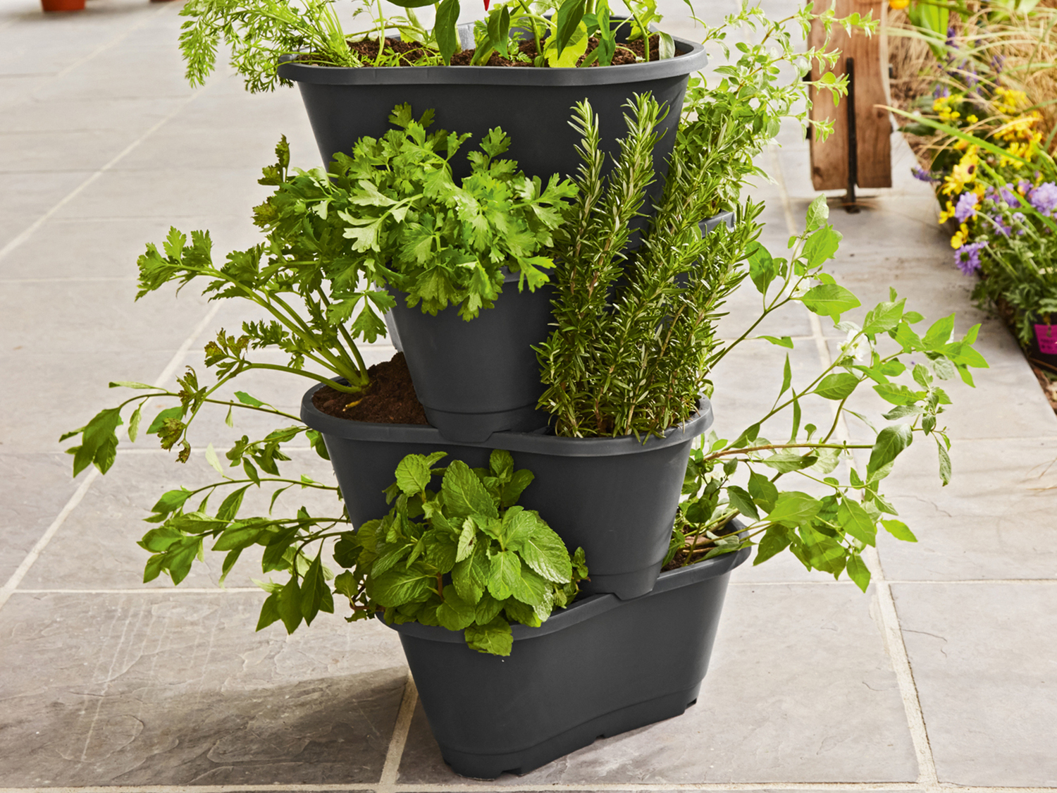 Vaso per coltivazione Parkside, prezzo 11.99 €
- Per balcone, terrazzo ...