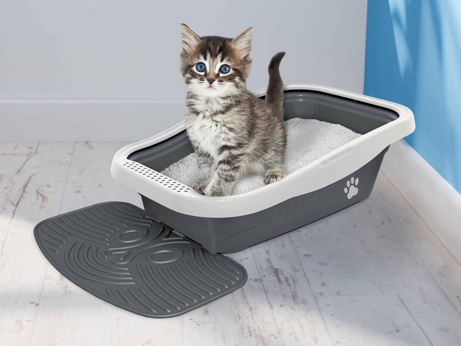 Lettiera per gatti Zoofari, prezzo 9.99 €
- Tappetino incluso
- 56 x ...