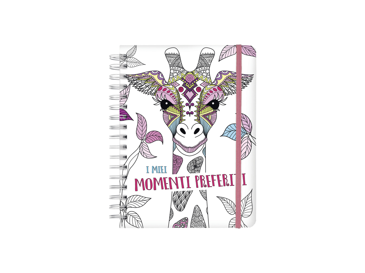 Agenda o diario scolastico Fsc, prezzo 4.99 €
Caratteristiche