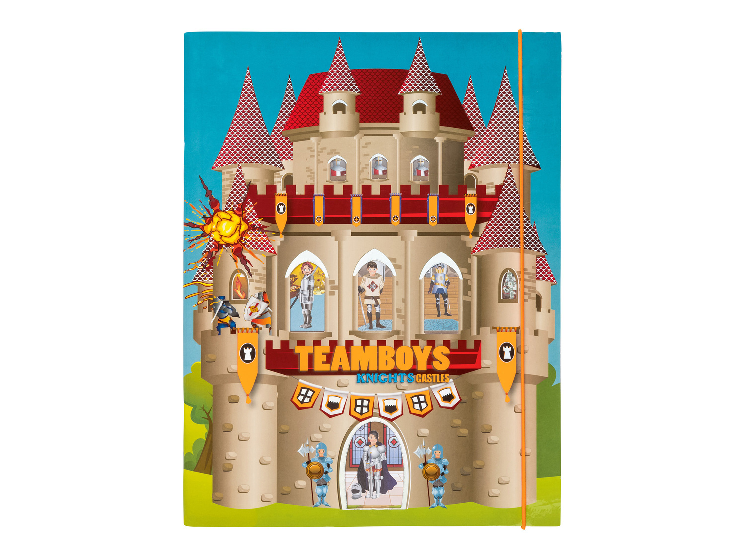 Libro con adesivi per bambini Fsc, prezzo 3.99 €
- Questo articolo è ...